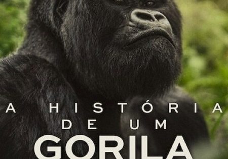 حصريا شاهد فيلم A Gorilla Story Told by David Attenborough 2026 مترجم