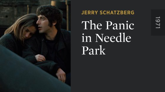 حصريا شاهد فيلم The Panic in Needle Park 1971 مترجم